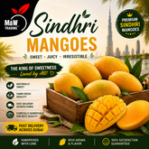 Premium Sindhri Mangoes Box By Air | Fresh Seasonal Mangoes in Dubai