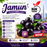 Jamun ,java plum (Premium)