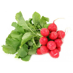Radish Red UAE
