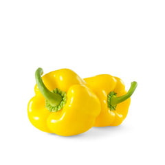 Capsicum Yellow UAE
