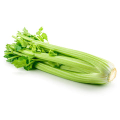 Celery China