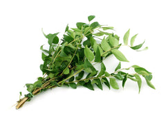Curry Leaves