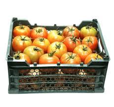 Tomato Greenhouse (Premium)