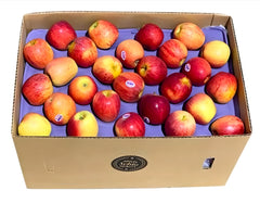 Apple Royal Gala Box
