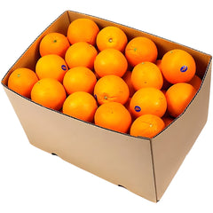 Oranges Navel Egypt Box