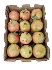 Pomegranate (Anar) Yemen 3.8kg Box