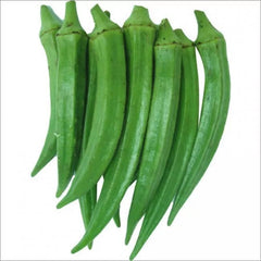 Okra (Bhindi) GCC