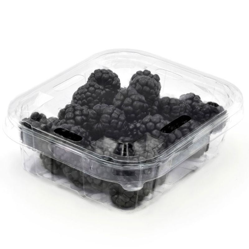 Blackberries