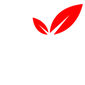 M&W