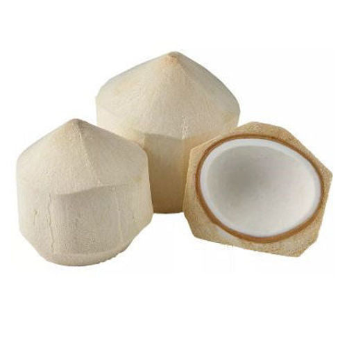 Coconut Tender
