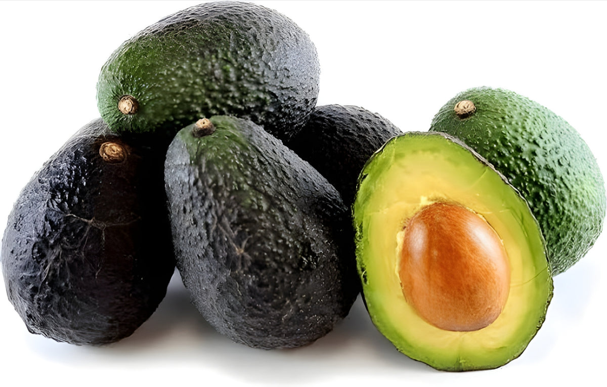 Avocados Hass