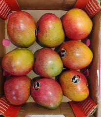 Mangoes South Africa Box