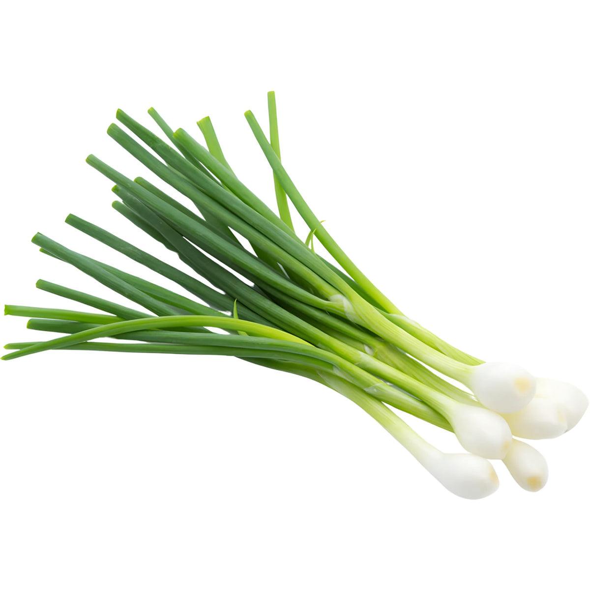 Spring Onions UAE