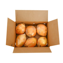 King Coconut Sri Lanka