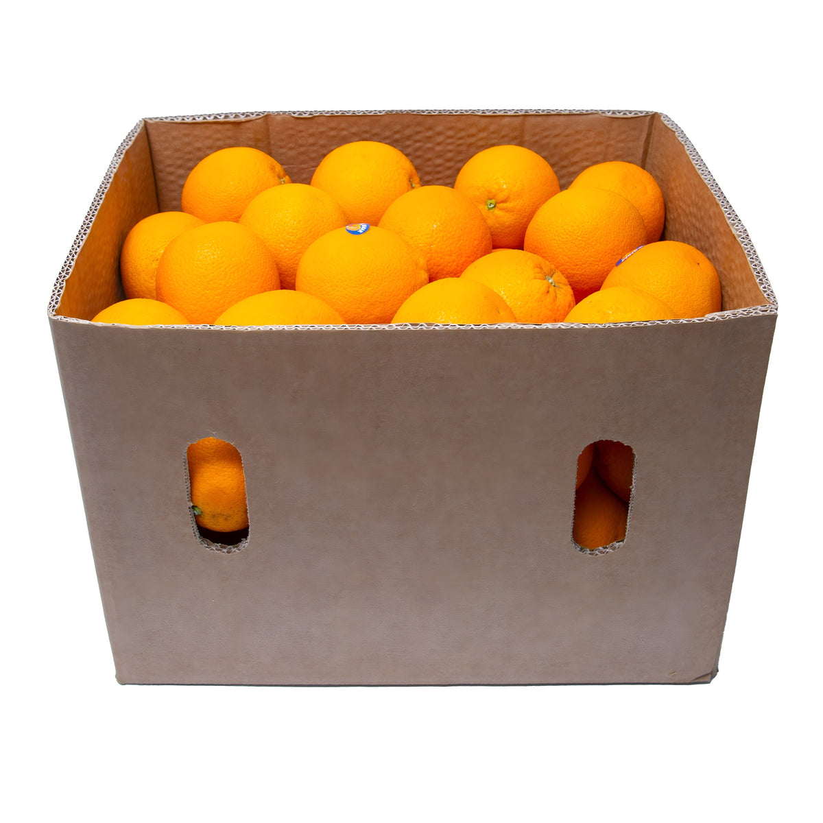 Oranges Valencia Egypt Box