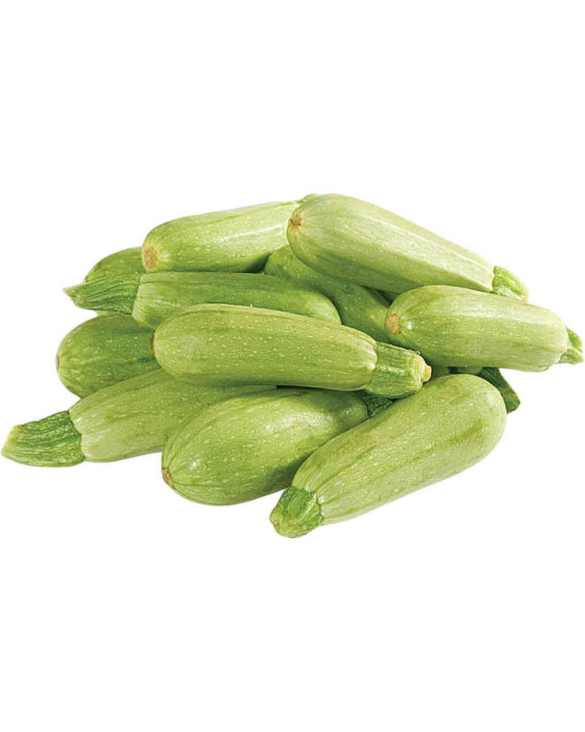 Marrow (Koosa) GCC 500g