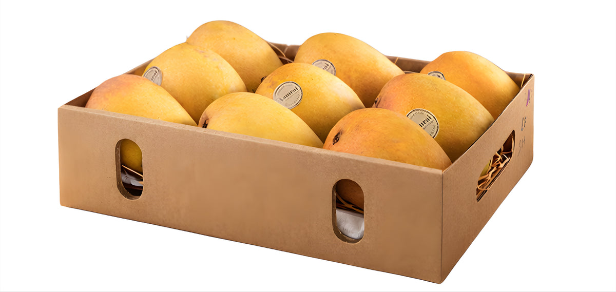 Alphonso Mangoes India (By Air)