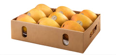 Alphonso Mangoes India (By Air)