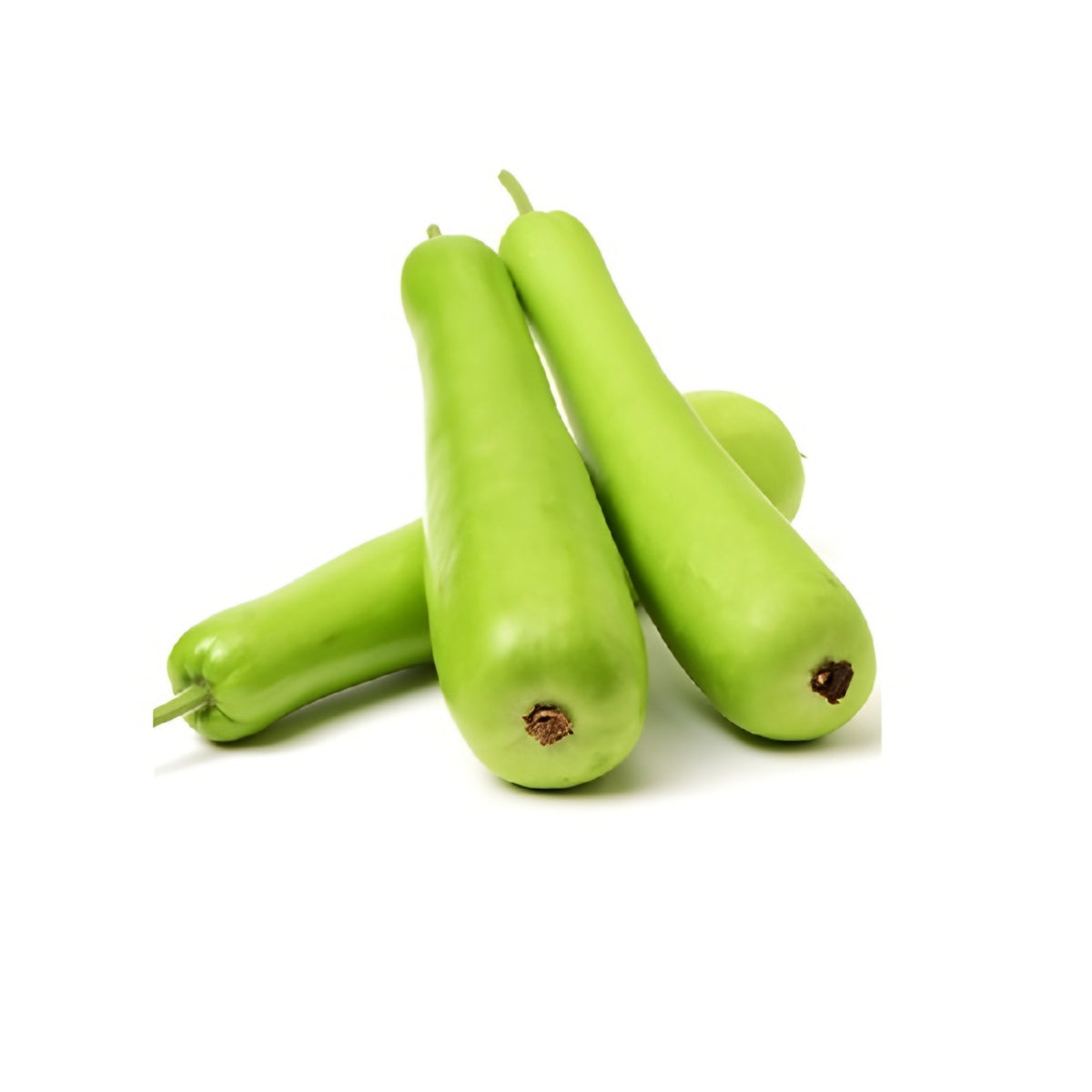 Bottle Gourd (Dudhi) India 1kg